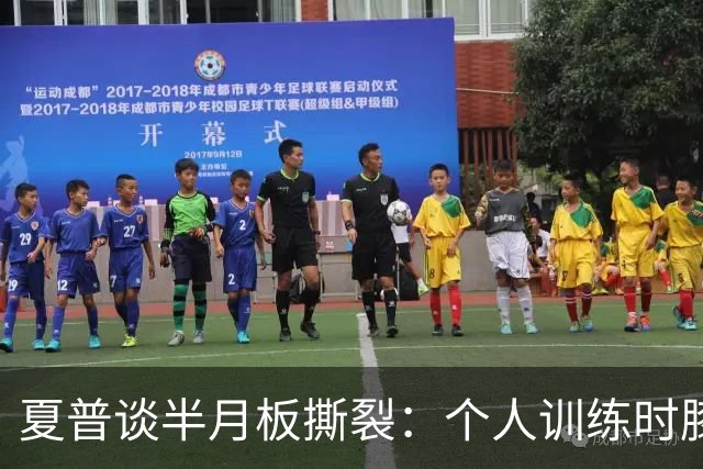 夏普谈半月板撕裂：个人训练时膝盖突然卡住 后来才发现受伤