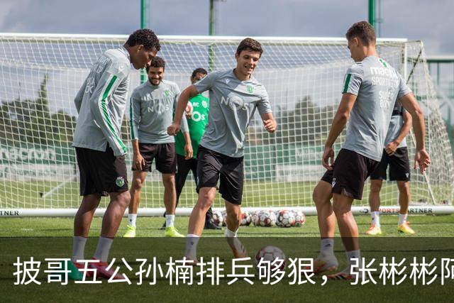 披哥五公孙楠排兵够狠，张彬彬阿云嘎出征跨部落，小沈阳如何破局